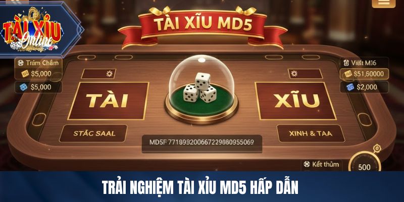 BIG777 - Cổng Game Tài Xỉu Công Bằng Bảo Mật Hàng Đầu Trải nghiệm tài xỉu MD5 hấp dẫn