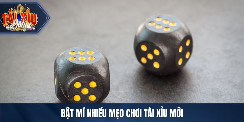Mẹo Chơi Tài Xỉu - Kiến Thức Cần Nắm Trước Khi Tham Gia Bật mí nhiều mẹo chơi tài xỉu mới