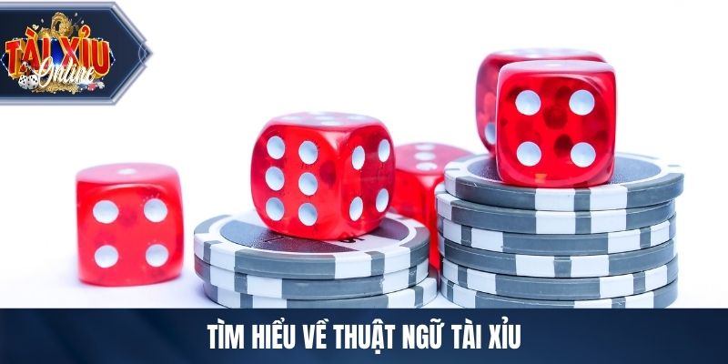 Bộ Thuật Ngữ Tài Xỉu Cơ Bản Dành Cho Người Mới Bắt Đầu Tìm hiểu về thuật ngữ tài xỉu